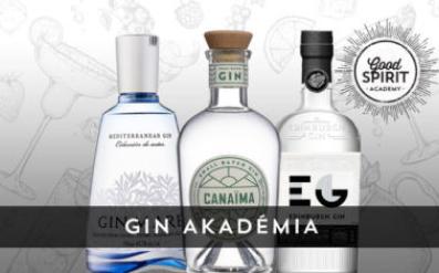 Gin Akadémia