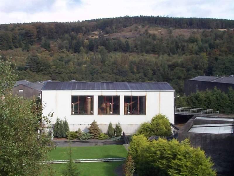 kininvie_1.jpg