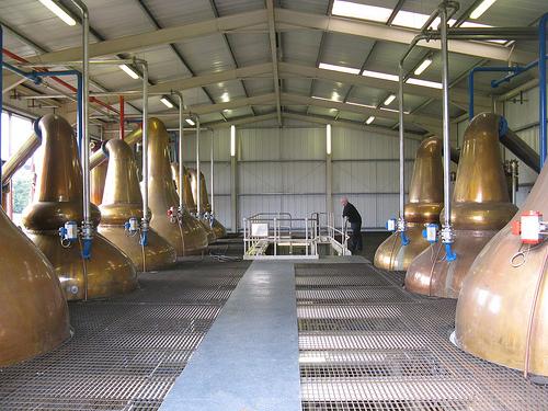 kininvie_2.jpg