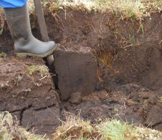 peat5.jpg