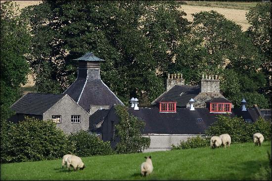 glendronach.jpg