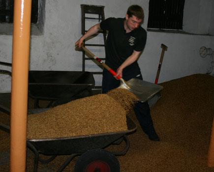 springbank-malting.jpg