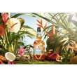 Plantation Isle of Fiji rum DRS (0,7L / 40%)