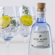 Gin Mare Capri DRS (0,7L / 42,7%)