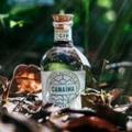 Canaïma gin Expedíció: az amazóniai közösségek támogatása