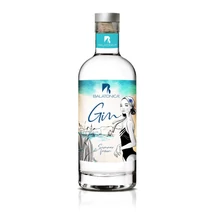 Balatonica gin (0,7L / 40%)