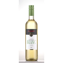 Szeleshát Sauvignon Blanc bor 2025 DRS (0,75L)