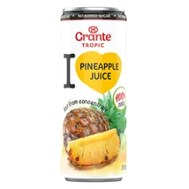 Grante Tropic pineapple juice (0,25L)