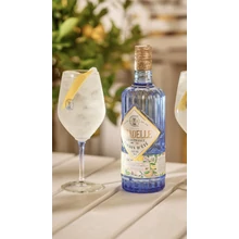 Citadelle Jardin dÉté gin DRS (0,7L / 41,5%)