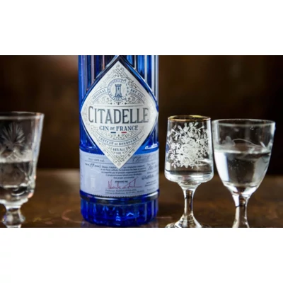 Gin Akadémia VII. rész: Ginmárkák