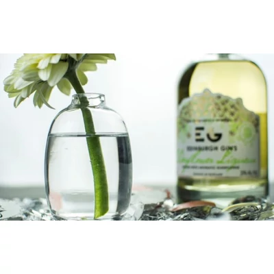 Gin Akadémia VIII. rész: Ginkoktélok