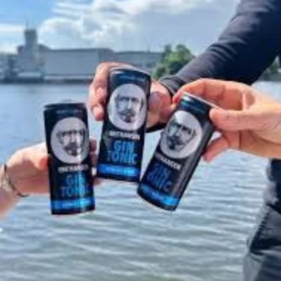 Knut Hansen gin & tonic RTD DRS (0,25L / 10%)