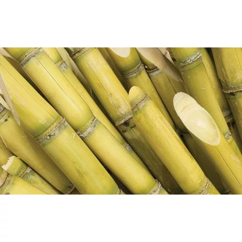 Rum Akadémia 01. rész  Mi is az a rum? + rumtörténelem röviden