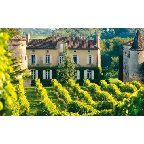 Francia Párlatok Akadémia 2. rész - Termőterületek: cognac, armagnac, calvados