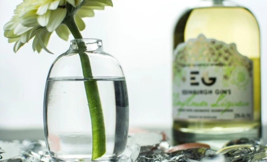 Gin Akadémia VIII. rész: Ginkoktélok