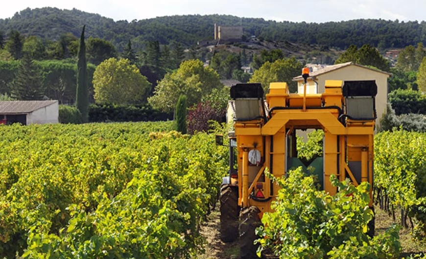 Francia Párlatok Akadémia 4. rész - Hogyan készül a cognac és az armagnac?