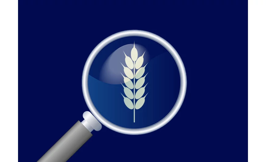 Waterford - Transzparencia és terroir