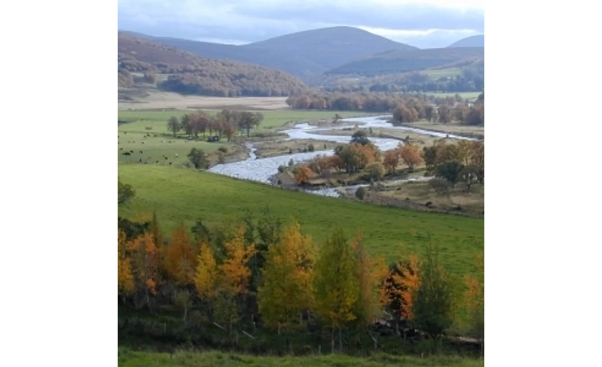 A víz és az „élet vize”